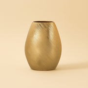Vaas Evey Gold Small