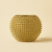 Vaas Kyona gold