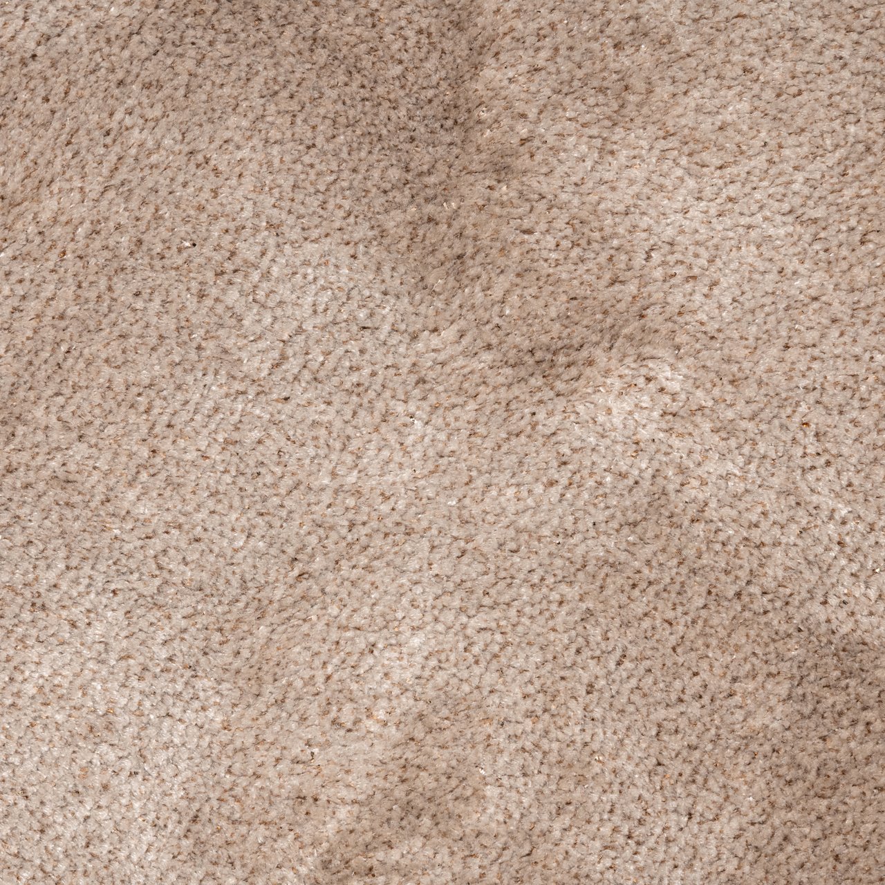 Carpet Tolga cream 200x300