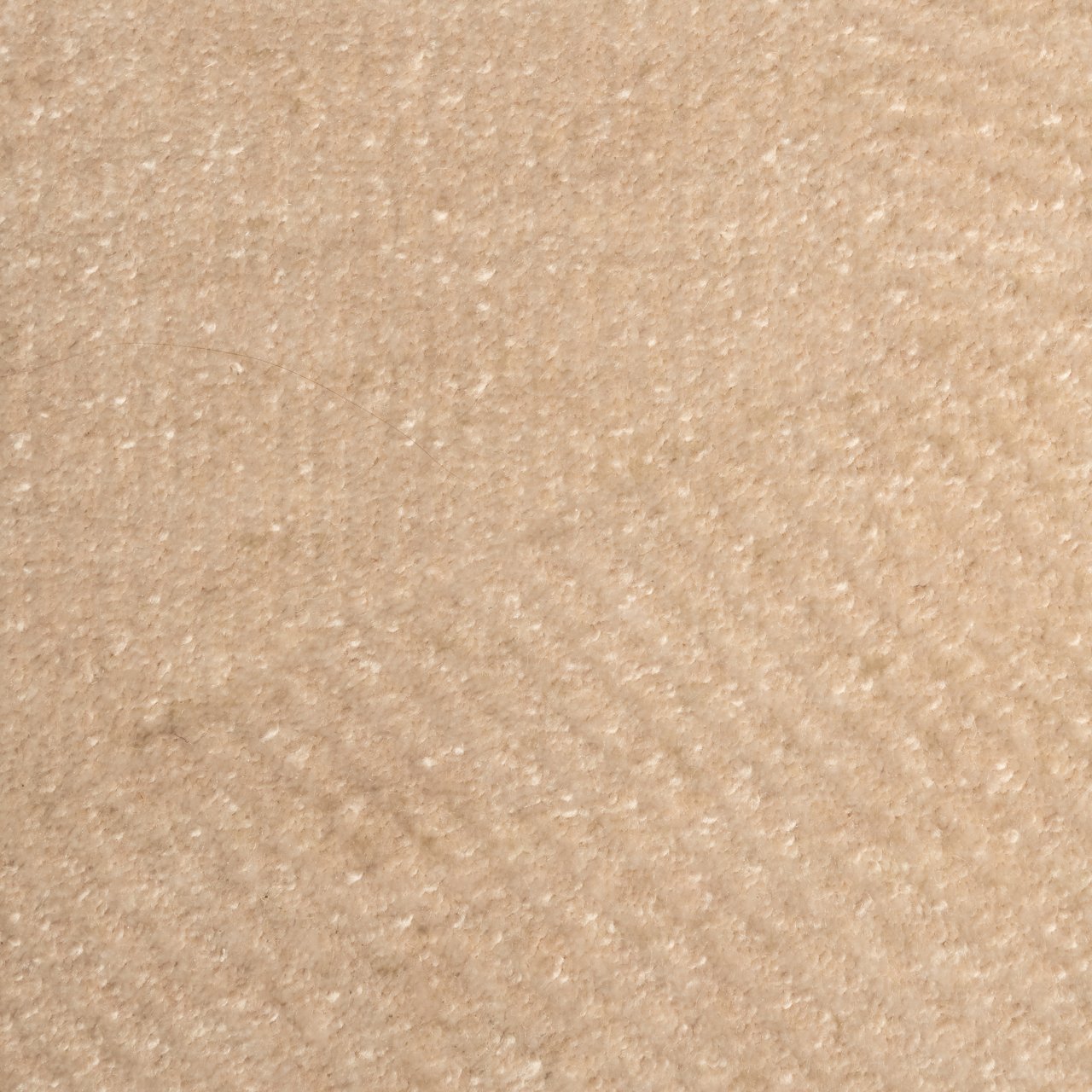 Carpet Beliz beige 200x300