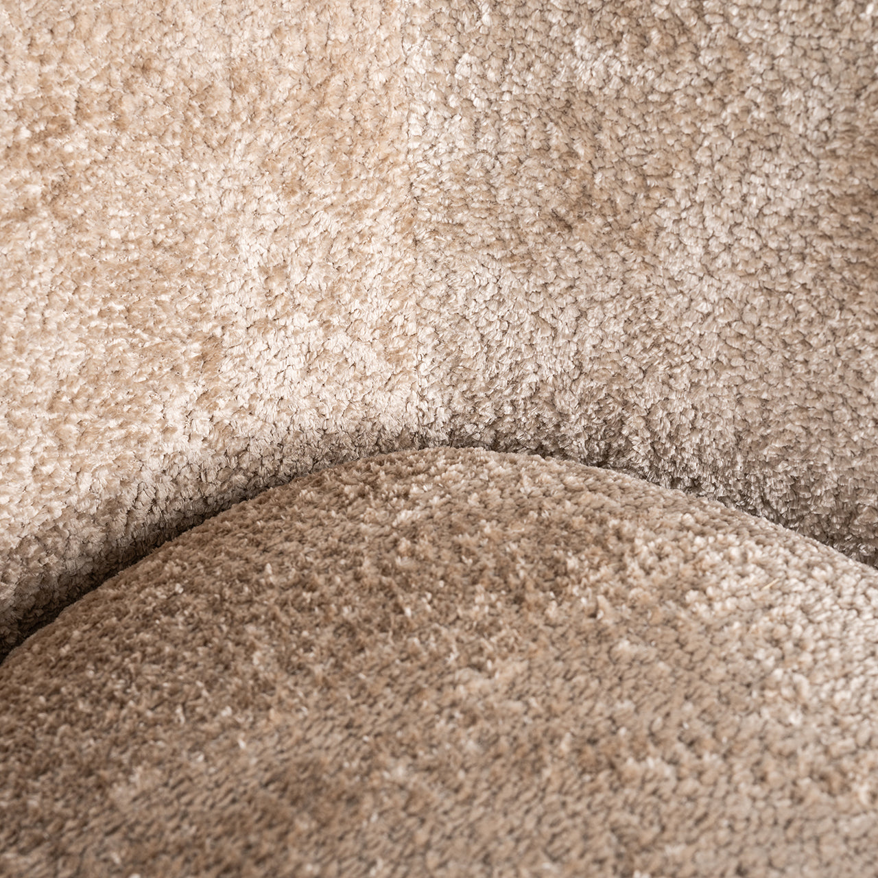 S4613_SHEEP_NATURE-9.jpg