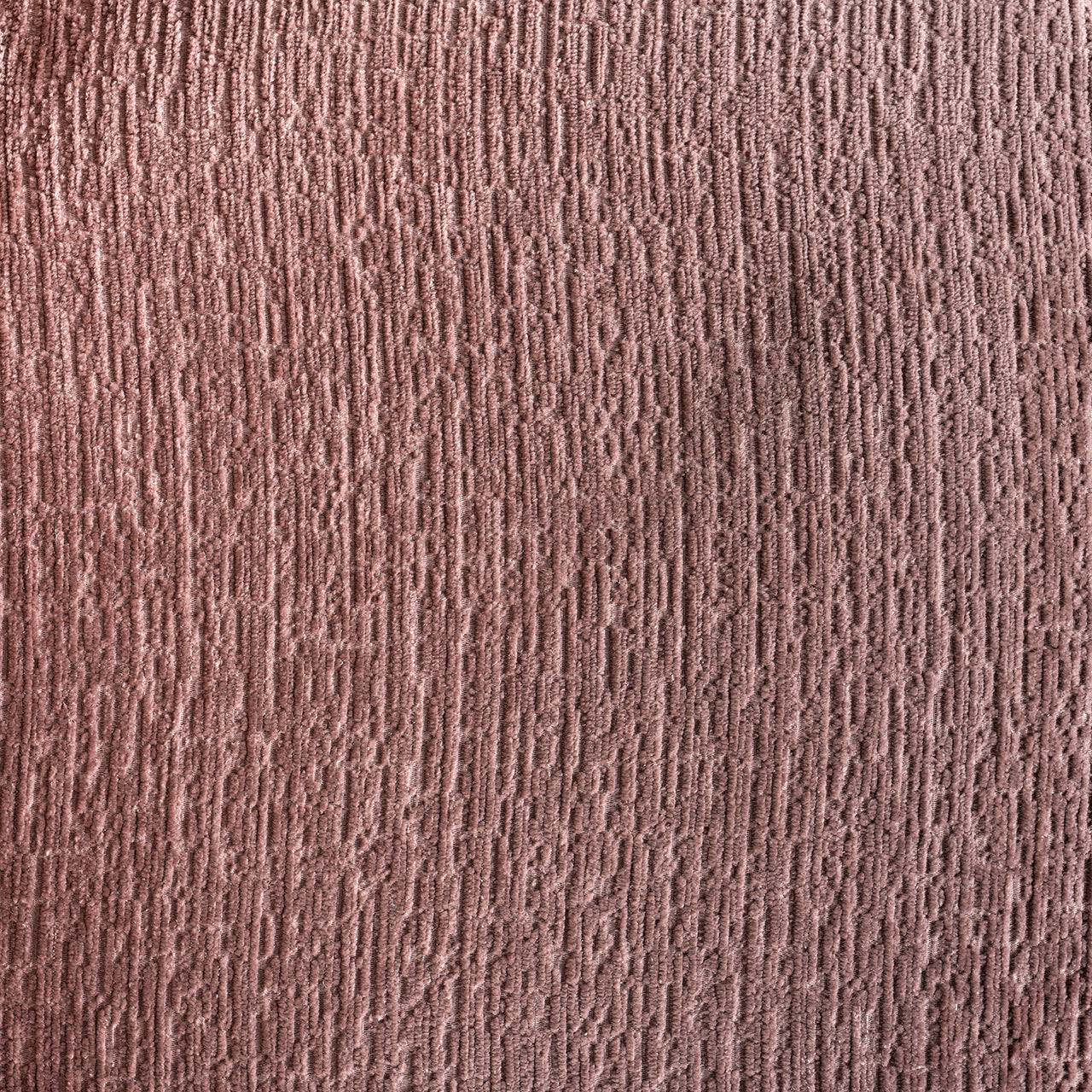 S4748_PALE_FUSION-10.jpg