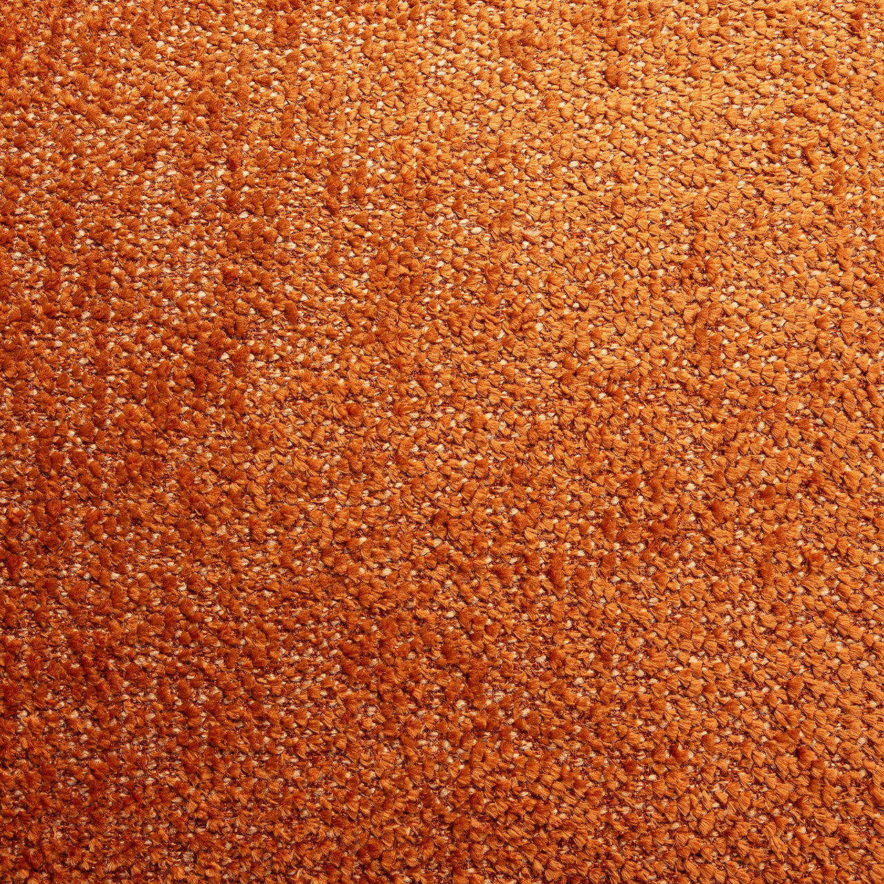 S5160_LOVELY_PUMPKIN-12.jpg
